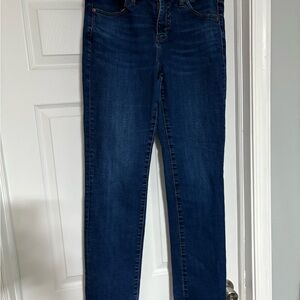 Jag Jeans Blue Skinny Denim